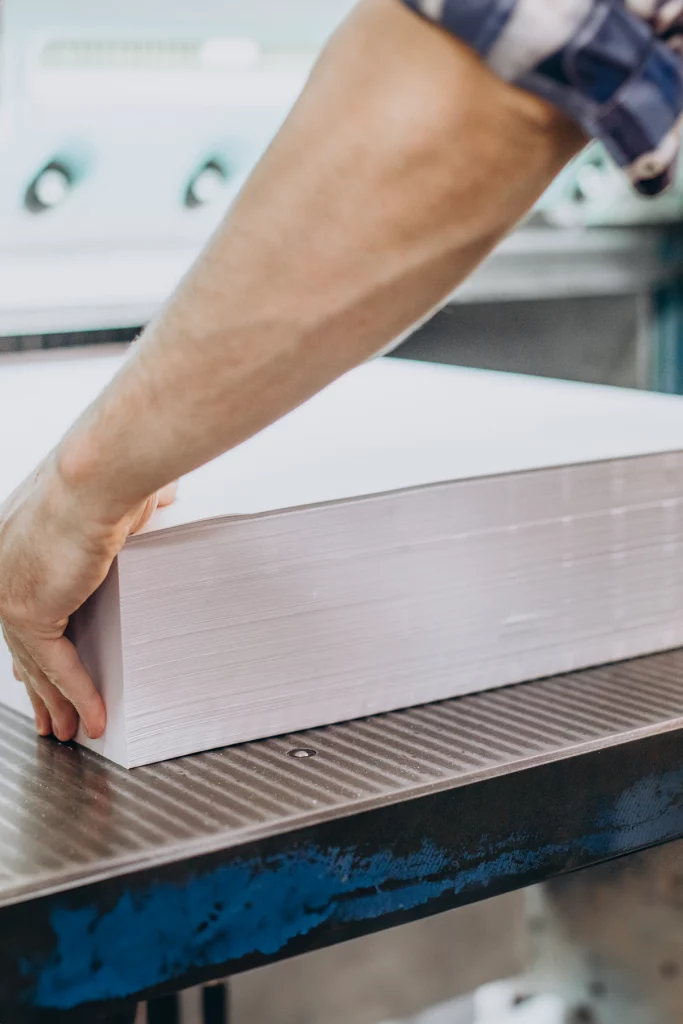 Sector-Papel-Pasta-5