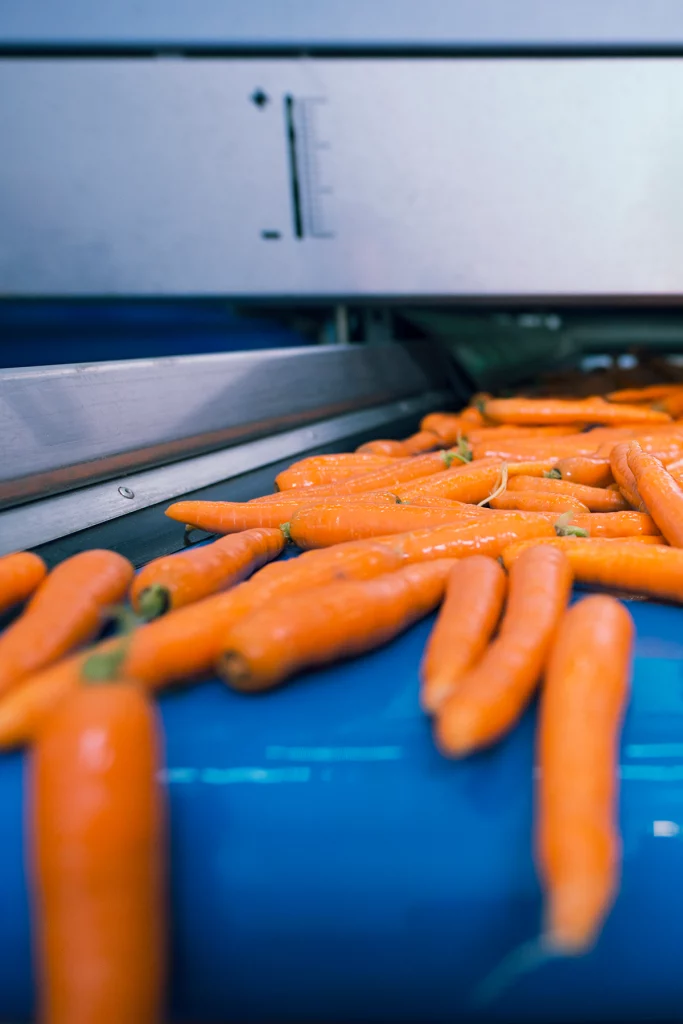 Sector-Alimentación-1