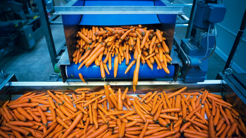 Sector-Alimentación-Soluater