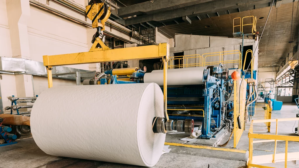 Sector-Papel-Pasta-6