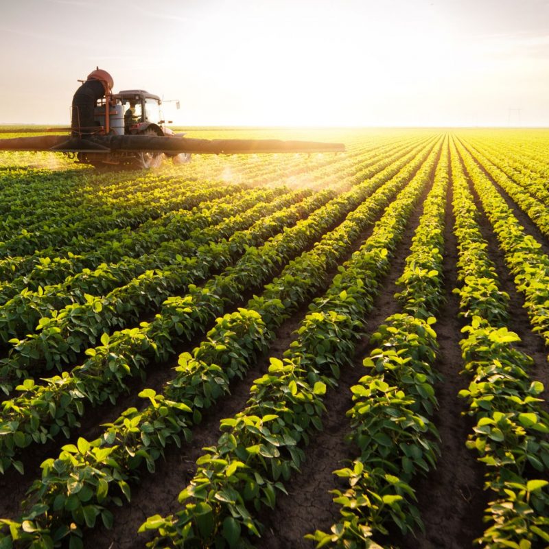 contaminación por metalocloro